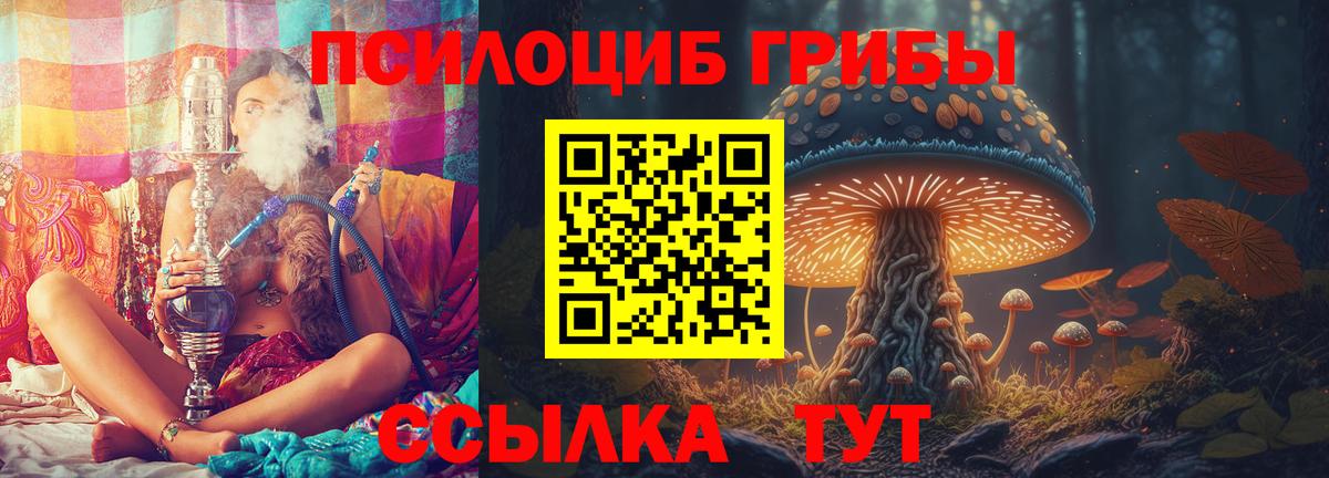 Красногорск  Псилоцибиновые грибы Psilocybine cubensis  Вход с VPN 