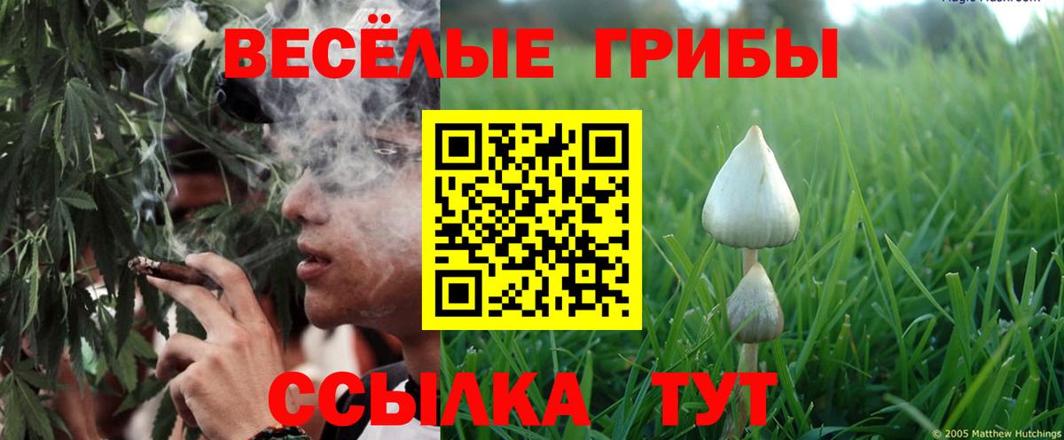 Галлюциногенные грибы прущие грибы Красногорск
